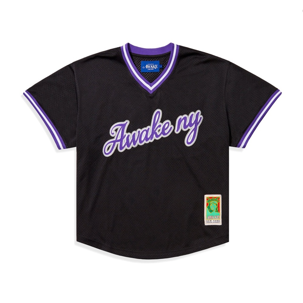 Script Embroidered Baseball Jersey used once!